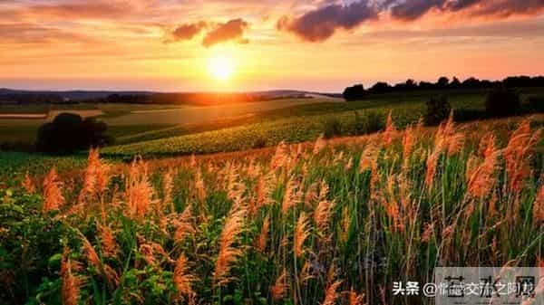 两性关系：人到70岁，如果还想再活20年，必须要记住这六句话