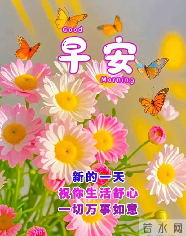 冬日晨光暖，福气踏雪来～ 事事顺意不添愁，一顺百顺福满怀，早安