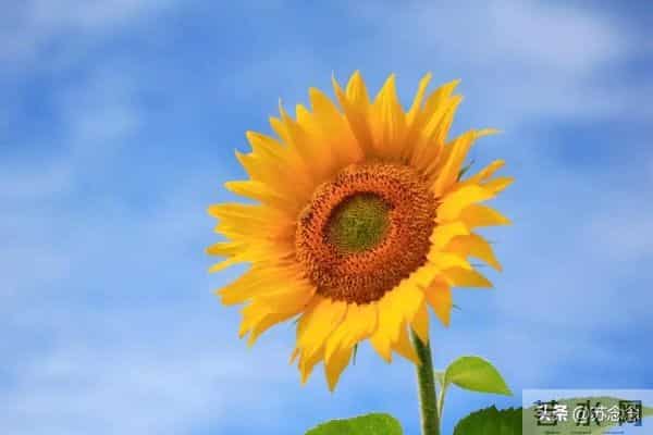 两性关系-活到五十岁，如果占三条以上你就是幸福老人，该知足了