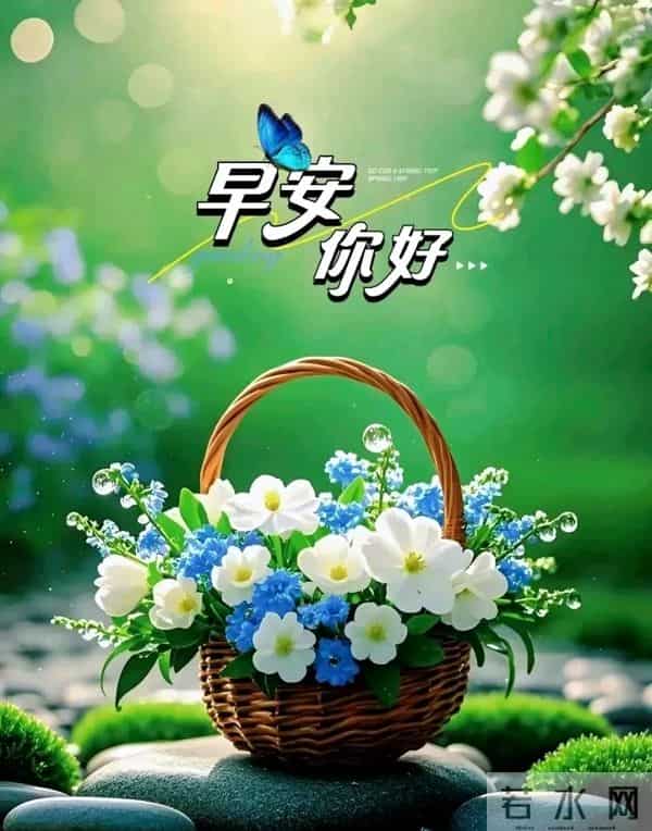 早上好问候祝福图片分享｜阳光暖暖，祝福甜甜！早安快乐！