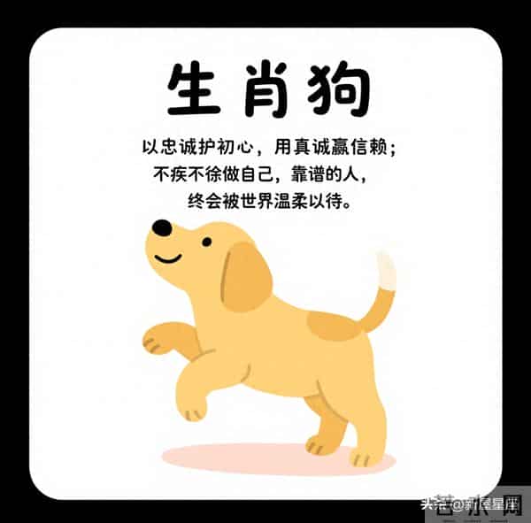 生肖狗,12月5号至12月9号上半月运势,即将喜从天降!