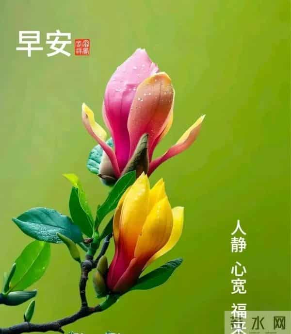 早上好问候祝福图片分享｜阳光暖暖，祝福甜甜！早安快乐！