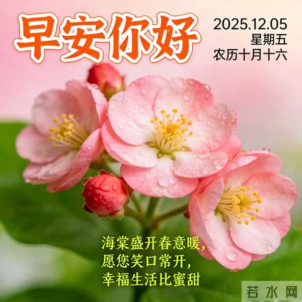 2025.12.05 早安祝福 围巾手套御寒风 亲友叮咛情意暖 早安幸福万年长