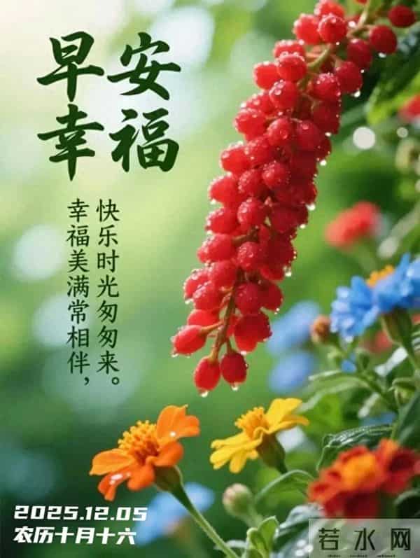 「2025.12.05」今日唯美早安祝福图片问候，温馨早上好祝福语