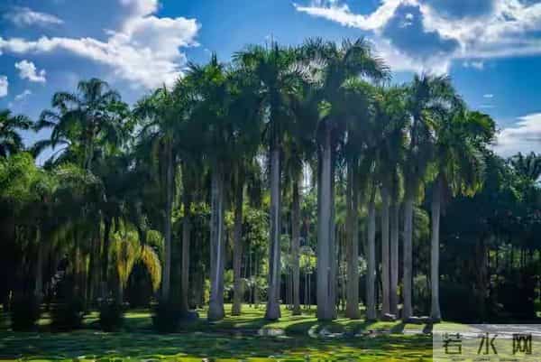 震惊现实：原来不论有钱没钱，大多数人真的是在“凑数”过日子
