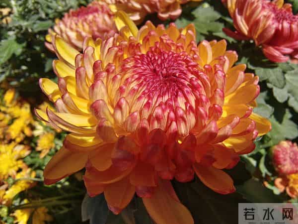 看透一个人最好的方法就是“断联”，对方是人是鬼，一目了然