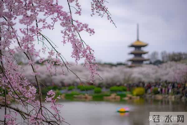 经历两次离婚,我明白了-所有夫妻关系的破裂,都始于同一个错误