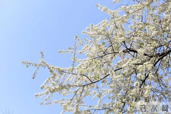 经历两次离婚,我明白了-所有夫妻关系的破裂,都始于同一个错误