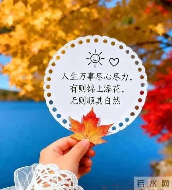 冬日晨光暖，福气踏雪来～ 事事顺意不添愁，一顺百顺福满怀，早安