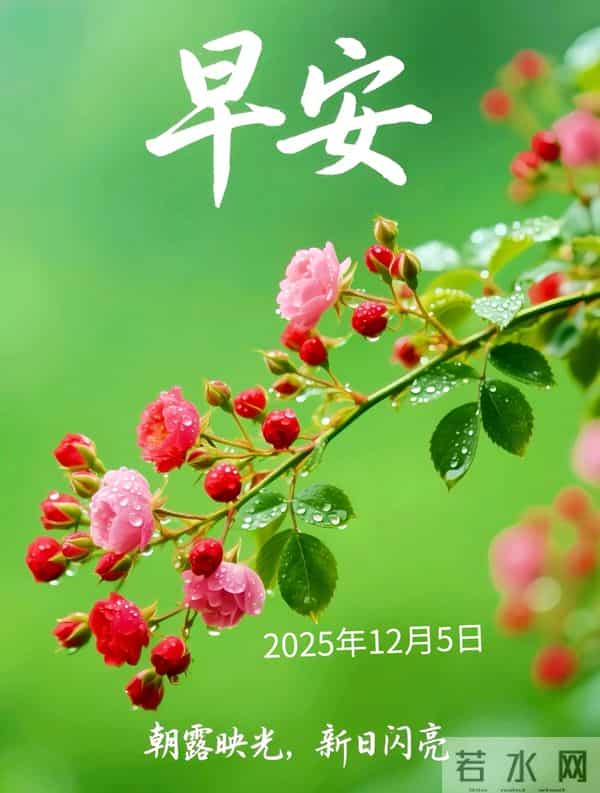 2025年12月5日早上好 早安精美美图 早安周五愉快 早安温馨祝福语