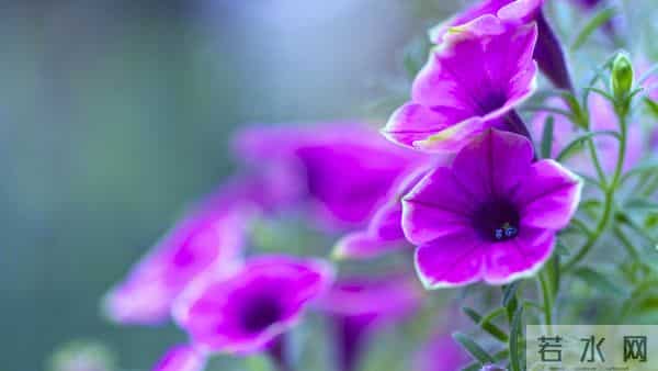 老了才明白：父母开始看你脸色了，不是他们怕你，而是他们老了