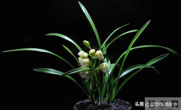 两性关系:80岁女人说的大实话,句句扎心,赶紧看看。