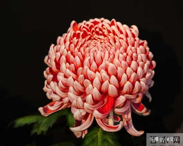 活得通透的女人，才懂何为真正的爱情，她们明白这两点