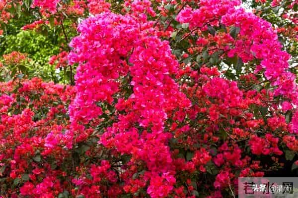 夫妻到了七十岁，还能同居，只有三种情况