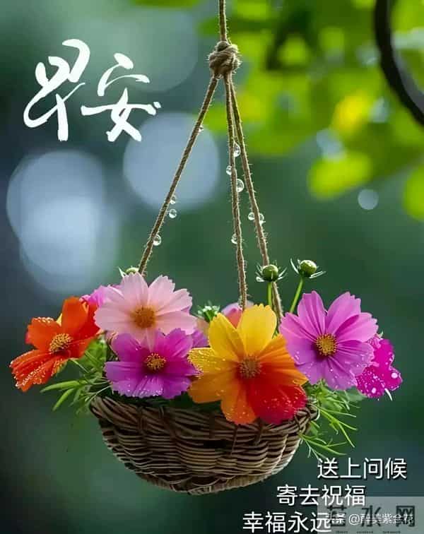 早安，凡是过往皆是序章，所有将来皆为可盼。