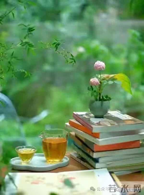 女人最大的福报, 不是男人疼, 不是子女孝,而是 活成自己的靠山。