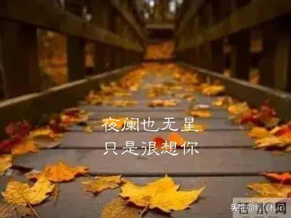 既然无缘，何须誓言。