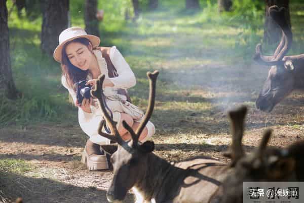 《再见爱人5》第八期，隐形情绪炸弹很可怕，探讨理想婚姻路还长