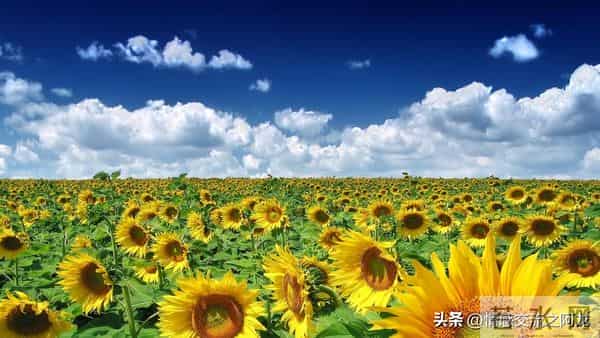 两性关系：人到70岁，如果还想再活20年，必须要记住这六句话