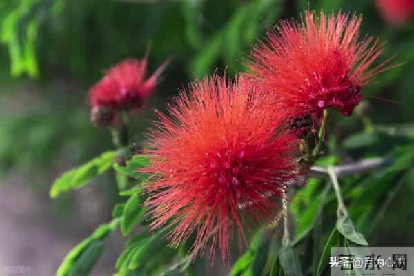 人民日报：快乐不是因为事事顺心，而是选择了看淡不顺心的事