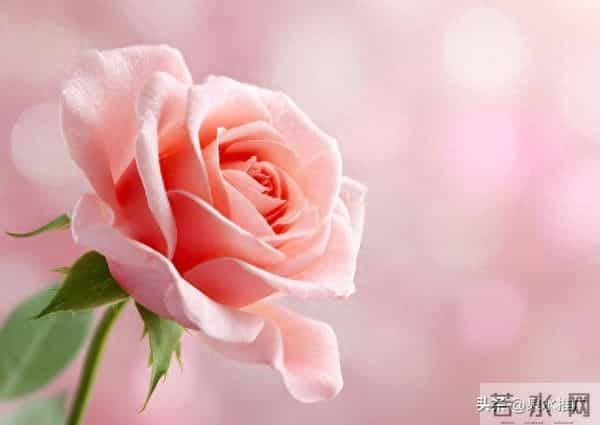 既然是生活就免不了酸甜苦辣,既然是人生就免不了人情冷暖。