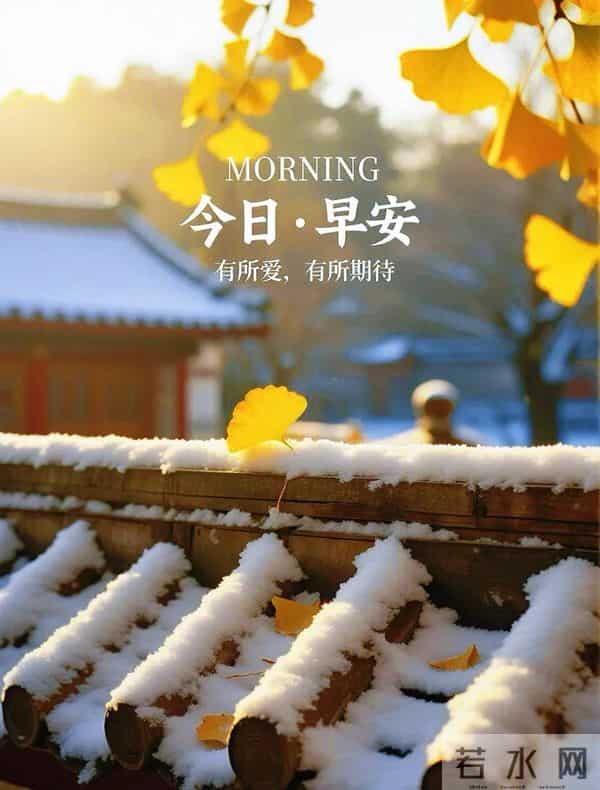 「2025.12.05」今日唯美早安祝福图片问候，温馨早上好祝福语