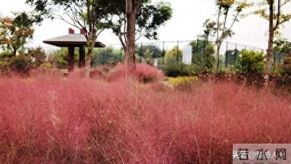 “撩”中年女人，用这三个方式“试探”，若及时回应，便是愿意