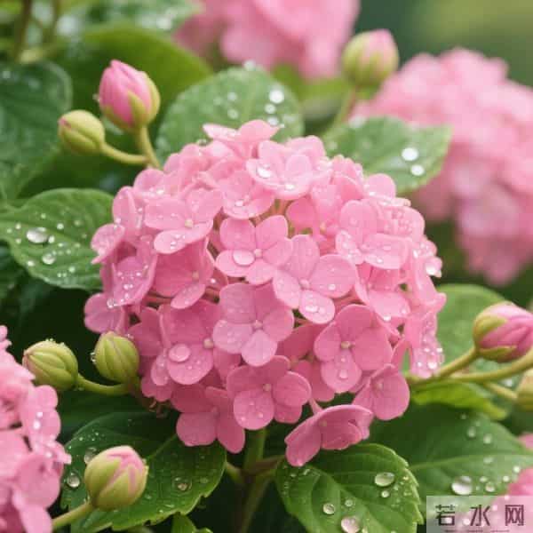 亲家初次见面，带对3样东西，体面又拉满好感（建议收藏）