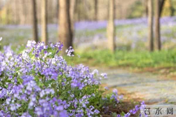 别傻傻只看身体接触,女人一旦在这些地方为你破戒,就是爱惨你了