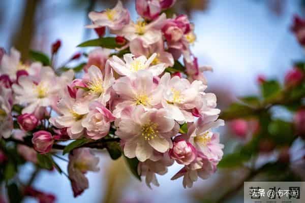 女人主动“勾”你时，不会说“我喜欢你”，却常说这5句话