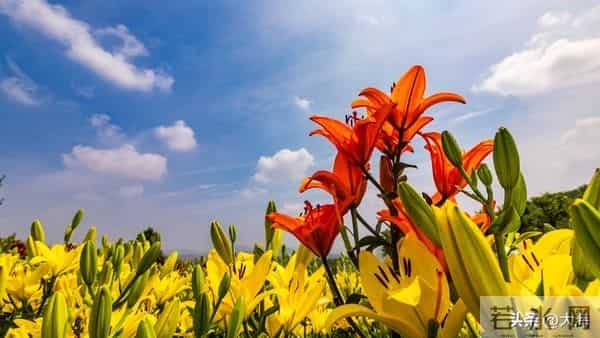 人老了,这6样,你占一样就了不起,全占简直是人生赢家!