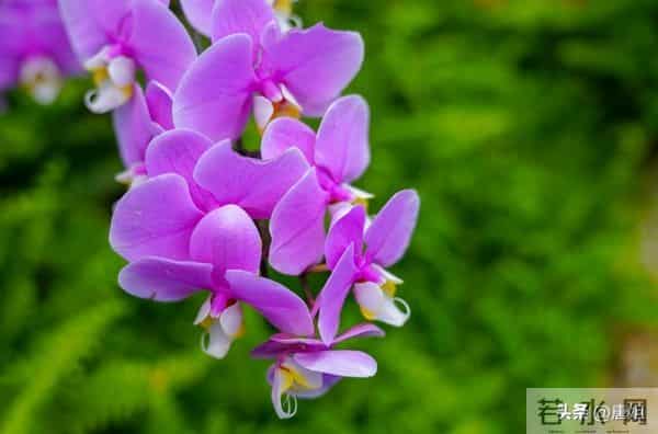 今日爆款文章：《轻抚生活，浅绘人生》