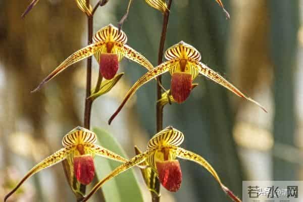 夫妻到了七十岁，还能同居，只有三种情况