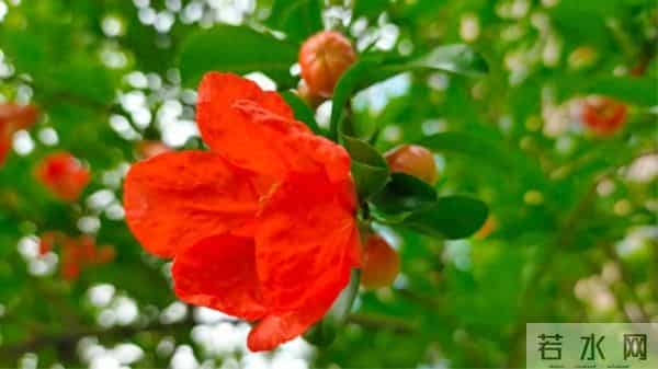 3000块钱买来一个教训：借钱是帮助，但劝你不要轻易借钱给人