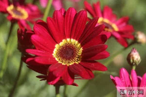 活得通透的女人，才懂何为真正的爱情，她们明白这两点