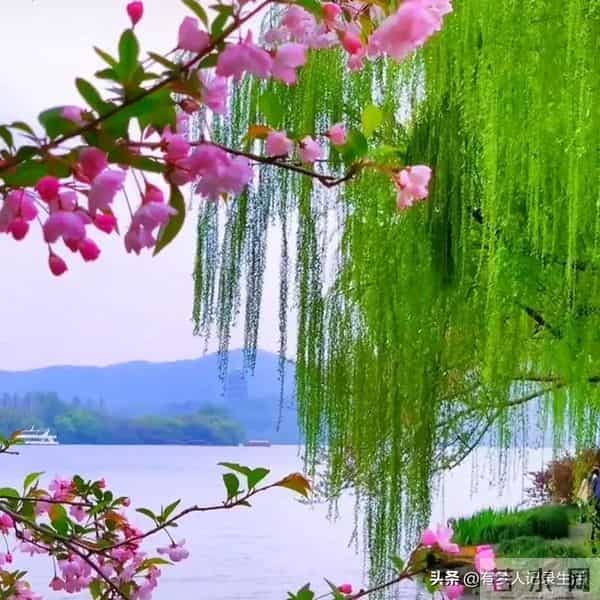 做人是个技术活，2个绝招让你逢山开路遇水搭桥！