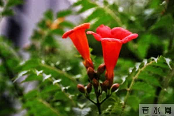 人品好的人,无论到什么年纪,都不会缺人爱