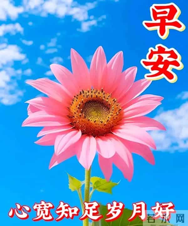 早上好问候祝福图片分享｜阳光暖暖，祝福甜甜！早安快乐！