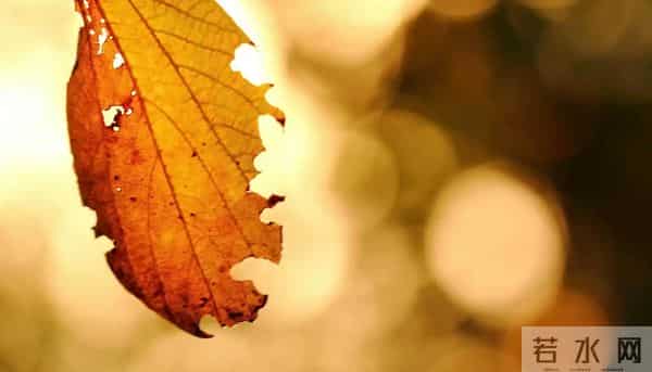 30岁以后我才明白：世界上最好的心理老师，其实就是有钱的自己