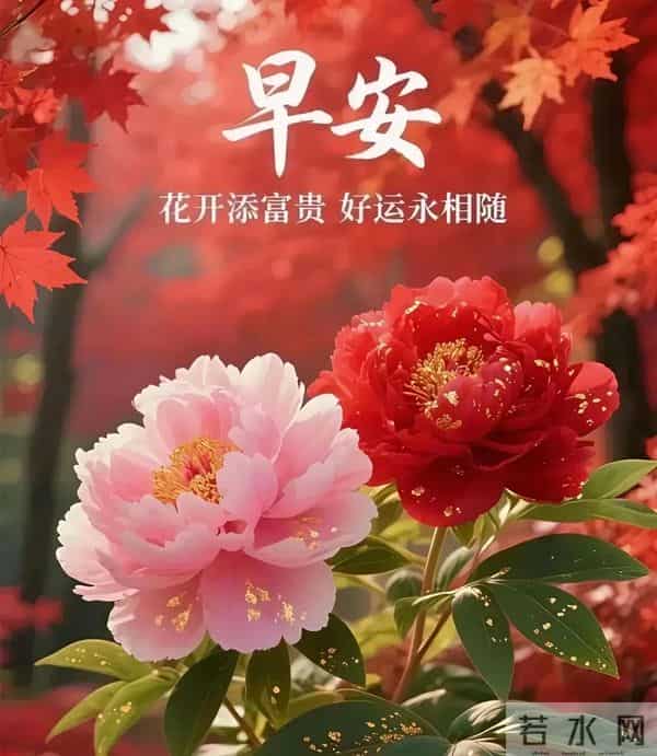 冬日晨光暖，福气踏雪来～ 事事顺意不添愁，一顺百顺福满怀，早安