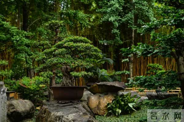 老了才明白，最幸福的往往是这三种老人，第一种就很少见