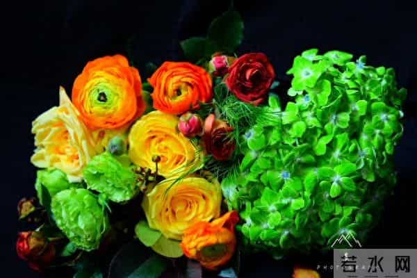 土象中的隐藏Boss:摩羯座