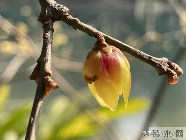 人品好的人都有这“四个特征”，值得深交一辈子！