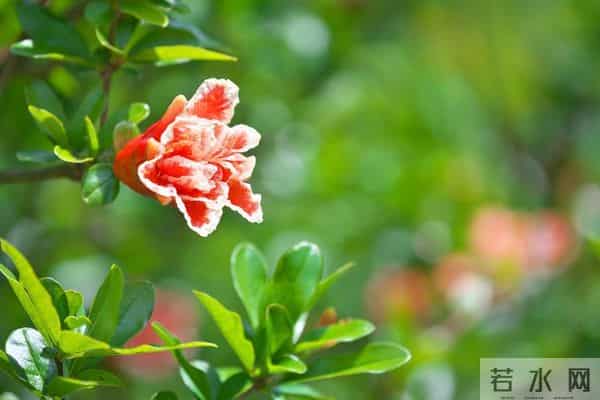 老了才明白：父母开始看你脸色了，不是他们怕你，而是他们老了