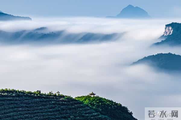 欺负你的人,都从“试探底线”开始