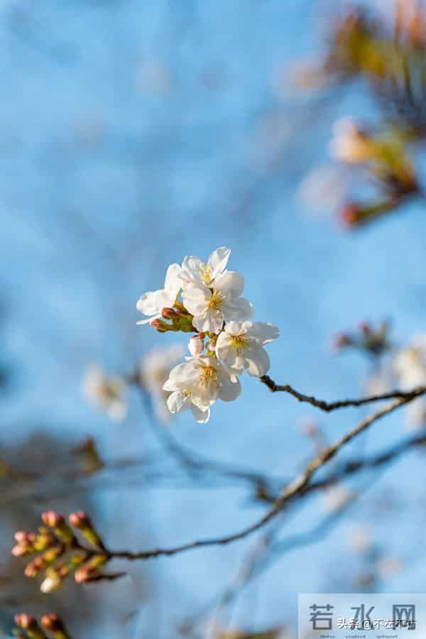 做人做事的20个不要(建议收藏)