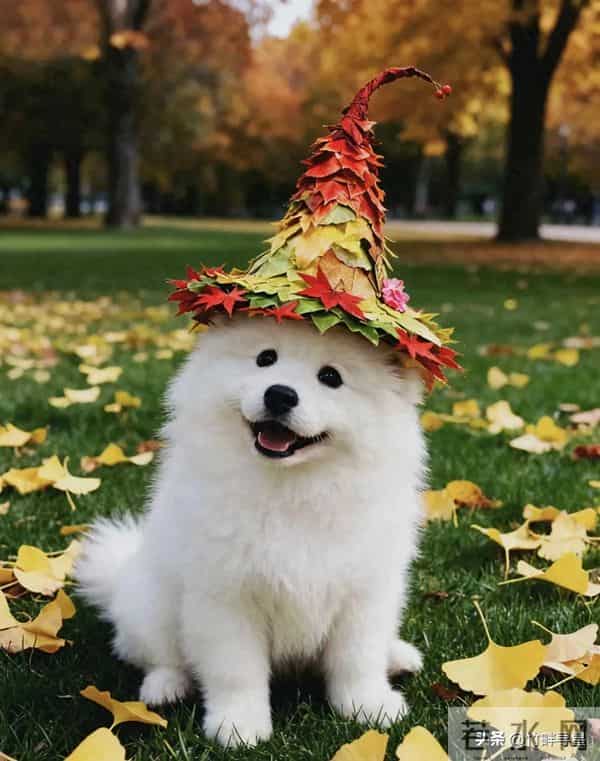 “莫欺忠犬憨”！属狗人别放弃，几天后有人来给你送转机