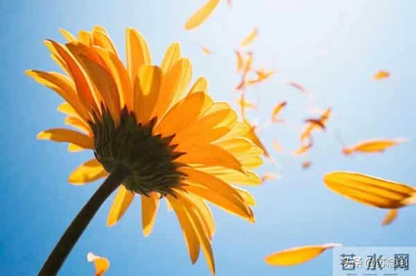 两性关系-活到五十岁，如果占三条以上你就是幸福老人，该知足了