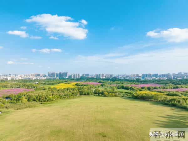 老妈让52岁女儿回家待客做饭，女儿说身体不舒服：3千就别回来了