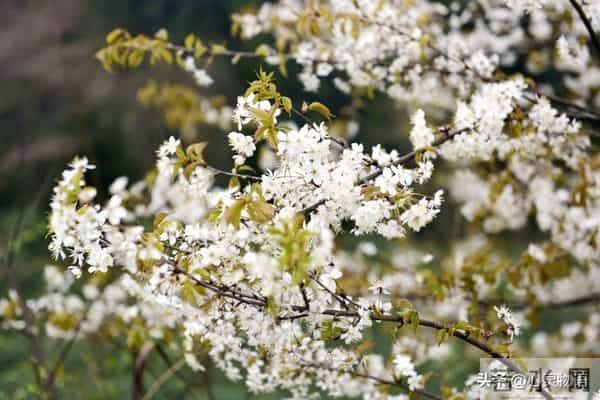 经历两次离婚,我明白了-所有夫妻关系的破裂,都始于同一个错误
